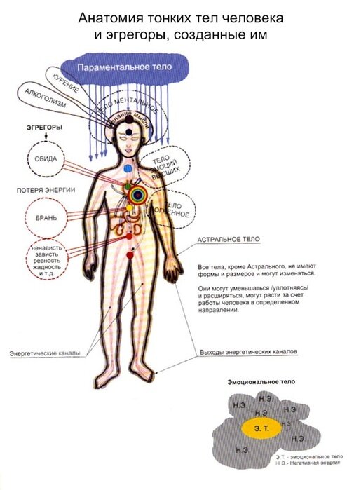 Анатомия тонких тел